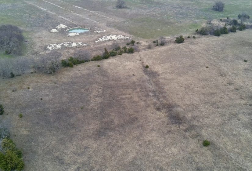 Whitewright, Tx