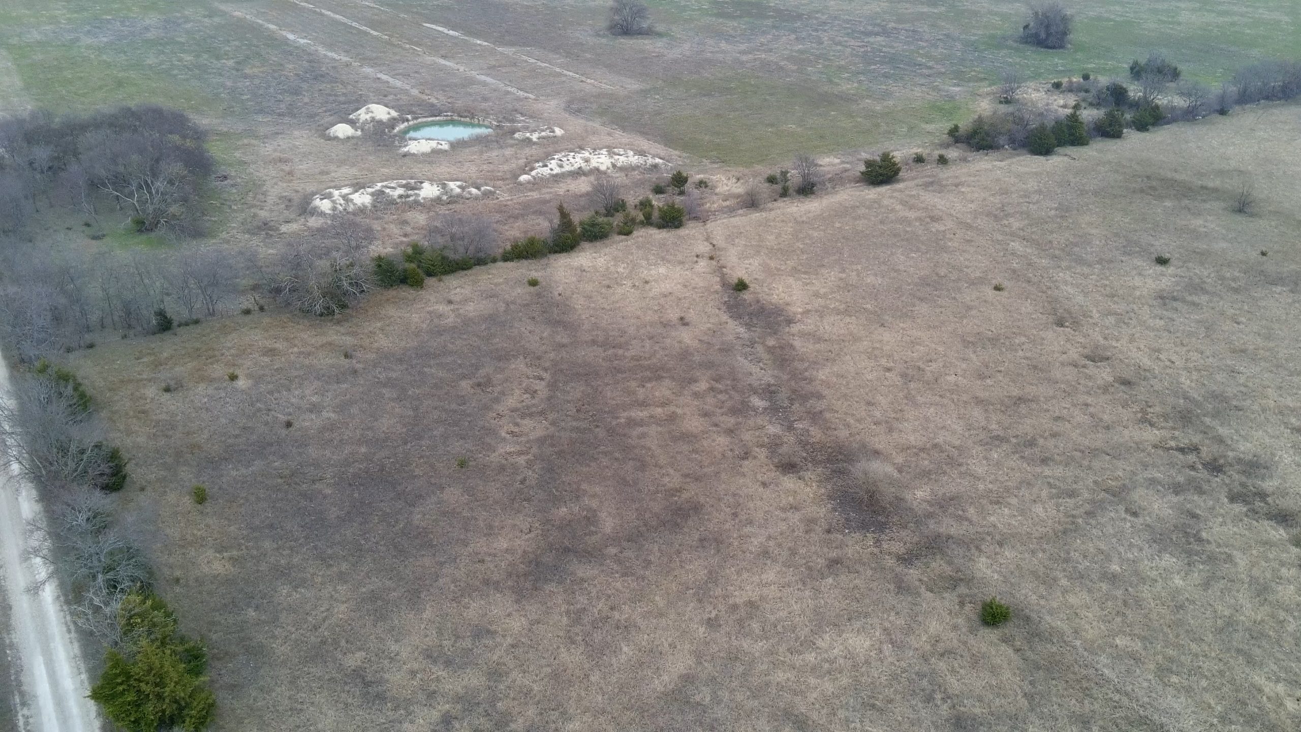 Whitewright, Tx